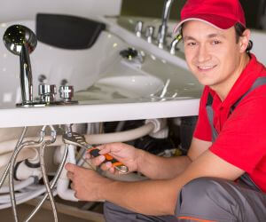 About Emergency plumbing pros Brutus, MI